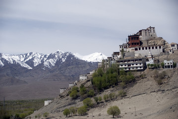 Fototapeta na wymiar Monastery, Tiksey, Ladakh, India