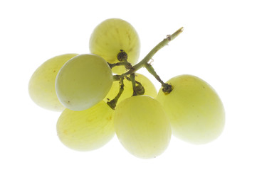 Weintrauben