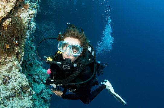 Scuba Diver