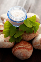 ginko moisturizer