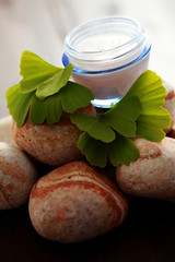 ginko moisturizer