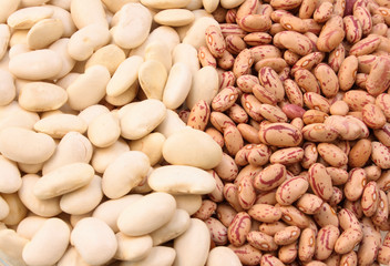 Two types of uncooked beans.