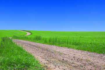 Green field with road and blue sky.
