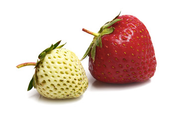 white and red strawberry