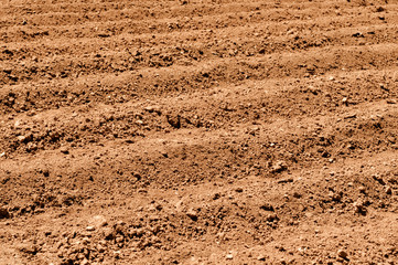 Close Up of Plowed Dirt