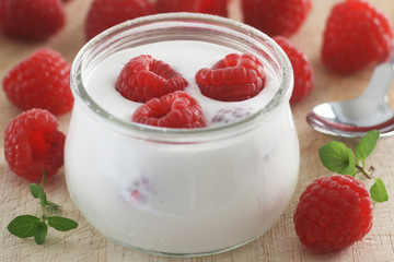 Raspberry Yogurt