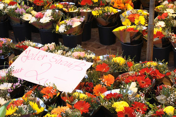 Blumenmarkt