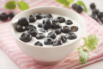 Blueberry Yogurt