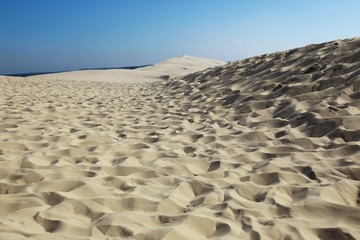 pyla, la dune