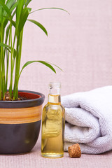 Obraz na płótnie Canvas Massage oils with towels