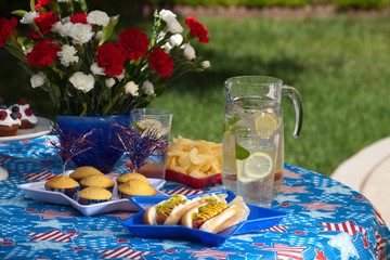 4th of July picnic