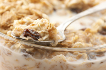 Muesli with milk close-up