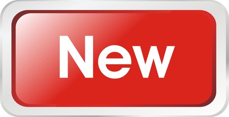 bouton rectangle new
