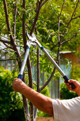 Gardening