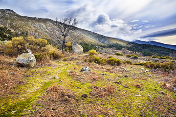 Sierra de Gredos. áVILA