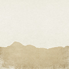 Paper with torn edges.