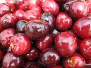 Ciliege