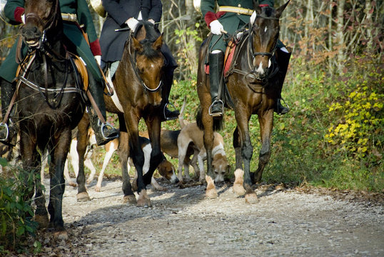 riders and dogs