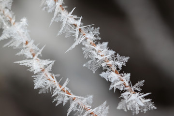 Eiskristalle
