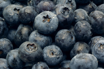 Close-up shot of Blueberries