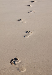 Fototapeta na wymiar Footprints on a beach in wet sand