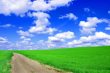 Fototapeta na wymiar Green field with road and blue sky.