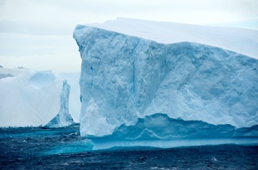 Fototapeta na wymiar Antarctic D¼więk