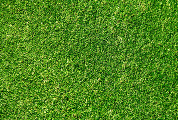 Obraz premium Ideal green grass, can be used as background