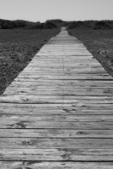 Boardwalk to the beach