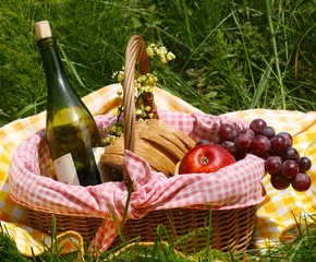 picnic on the grass