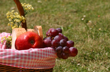 picnic on the grass