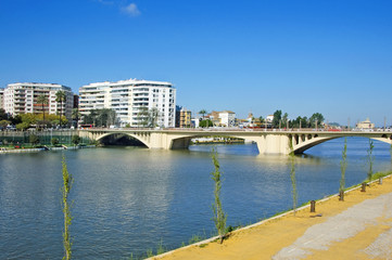 Seville bridge