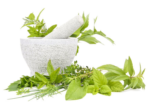Different herbs with mortar
