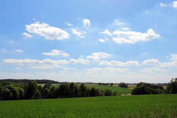 rural landscape blue sky white clouds corn field