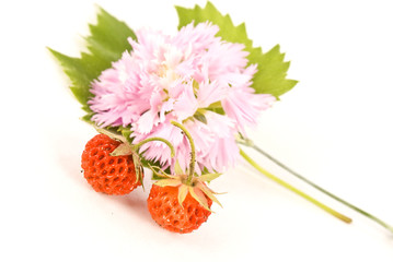 Fresh and tasty strawberries and pink flower