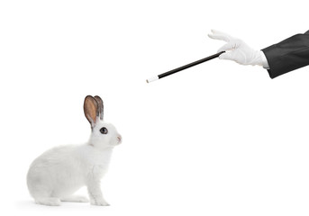 A rabbit and hand holding a magic wand