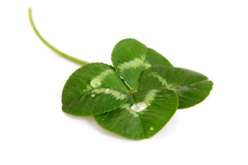 kleeblatt