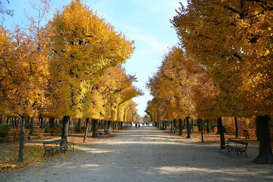 herbst
