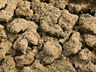Parched and Cracked Dry Ground in Full Sunlight