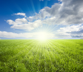 Obraz na płótnie Canvas Green field and blue sky