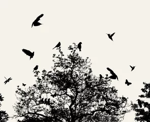 Foto auf Acrylglas Vögel am Baum Baum