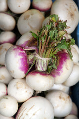 Fruits and vegetables Root vegetable Belgium
