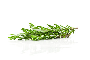 Rosemary