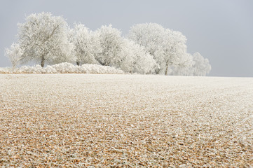 Landschaft