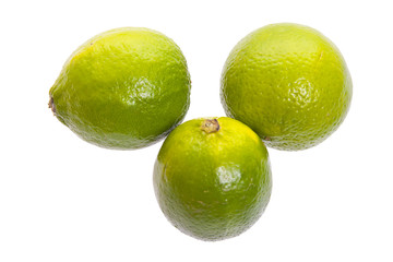 Lime on white background