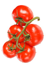 fresh tomatoes on the white background