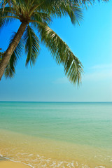 Plakat tropical beach
