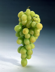grape