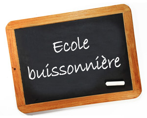 Obraz premium école buissonnière