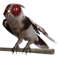 brown fantasy owl. 3D rendering with clipping path and shadow ov